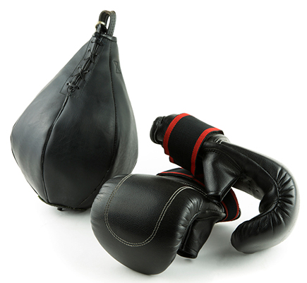 speedbag